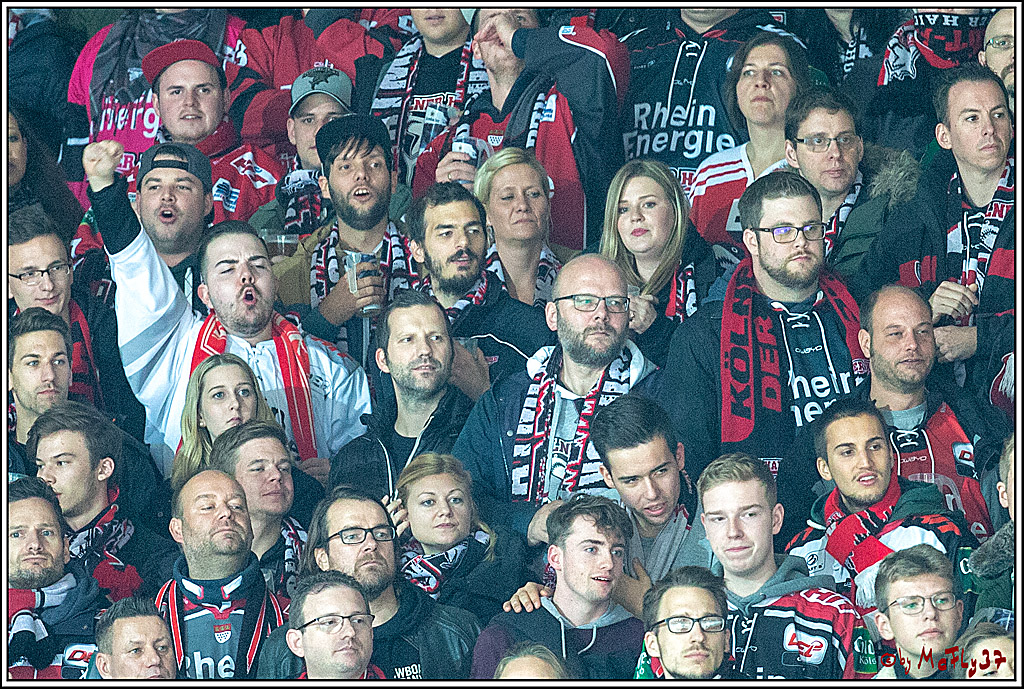 DEL; Iserlohn Roosters - Koelner Haie, 23.11.2018